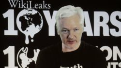 Verità: le ha diffuse Julian Assange.